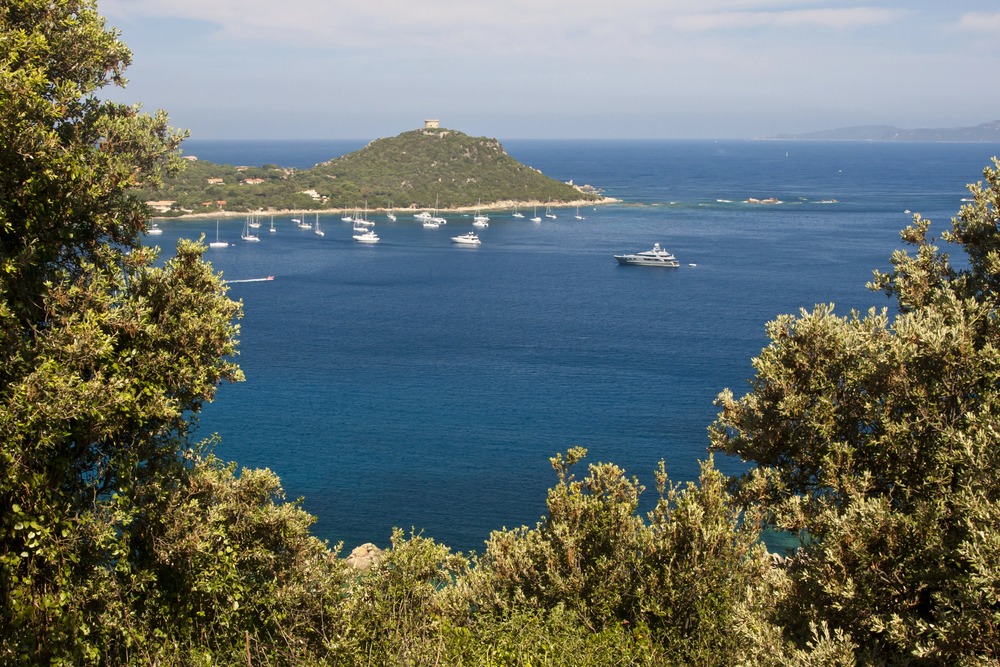 Campomoro