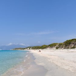 Saleccia