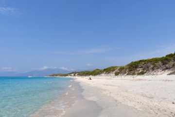 Saleccia